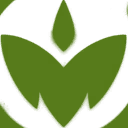 野生动物 喷漆 野生动物 喷漆