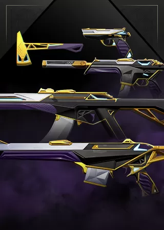 Collection Prime Collection Prime