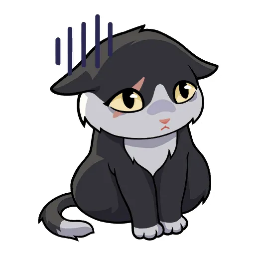 Spray Spray Ashamed Cat
