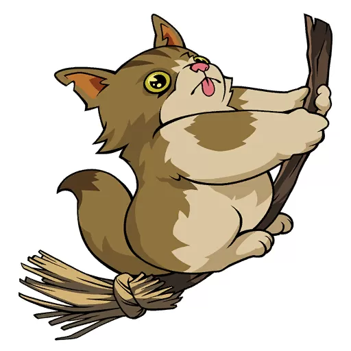 Spray Mance on a Broom Go Zoom Spray Mance on a Broom Go Zoom