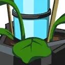 Spray Plant Plant Spray Plant Plant
