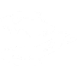 Predatore Predatore
