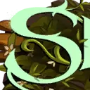 Spray Skye Spray Skye