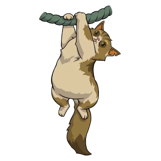 DAYAN KEDİCİK SPREYİ DAYAN KEDİCİK SPREYİ