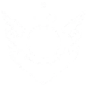 緩速靈球 緩速靈球