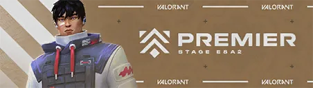PREMIER E8A2 Card PREMIER E8A2 Card