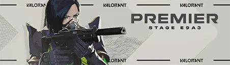 PREMIER E9A3 Card PREMIER E9A3 Card